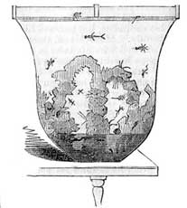 image of bell jar aquarium